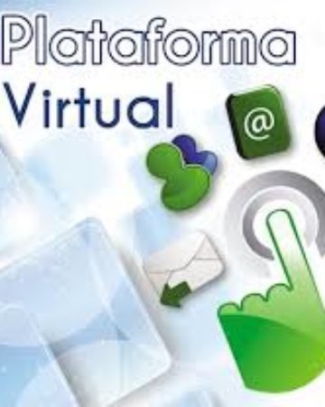  Virtual Platform